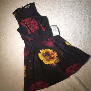 Rachel Roy Dress NWT